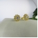 Brinco Formato Flor com Mini Zircônias Banhado em Ouro 18k