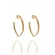 Brinco Argola Oval Banhado em Ouro 18k