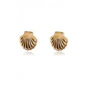 Brinco de Concha Banhado em Ouro 18k