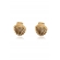 Brinco de Concha Banhado em Ouro 18k